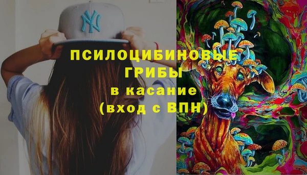 стаф Баксан