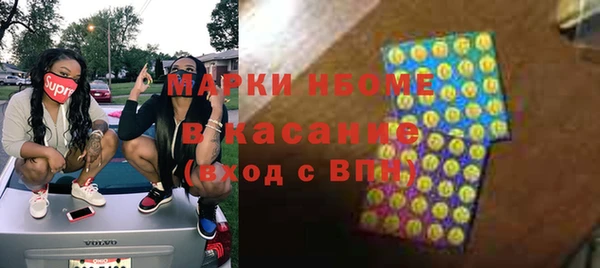 стаф Баксан