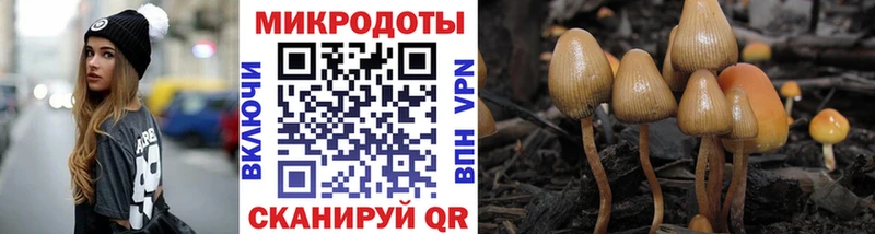 Псилоцибиновые грибы GOLDEN TEACHER  Черняховск 